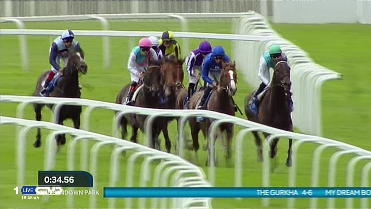 Coral-Eclipse 2016 - Hawkbill