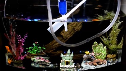 How to Water Change Aquarium Using Gravel Vacuum Cleaner and 5 Gallons Bucket - Time Lapse