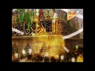 وفدوا عليك بغير زاد ـ حسين الاكرف