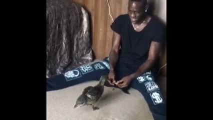 Crazy Mario Balotelli Feeds The Ducks In His Home!