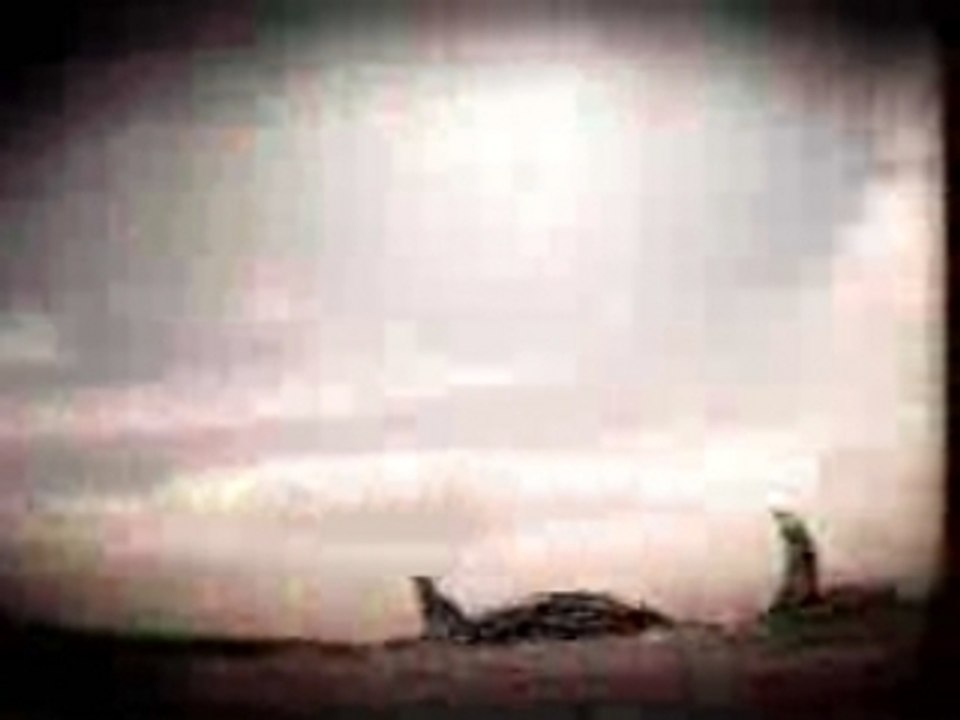 Los Restos del Naufragio