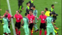 Un ramasseur de balle s'incruste sur la photo du Portugal avec Ronaldo (Euro 2016)