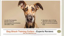 Dog shock training collars - experts reviews
