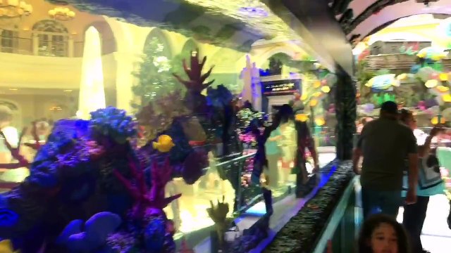 15 республик 1556