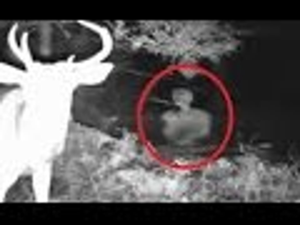 GOSTH & DEER  sightings COMPILATION 2016 Unbelievable