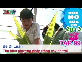Phương pháp trồng cây ăn trái - Lê Quý Di Luân | ƯỚC MƠ CỦA EM | Tập 99
