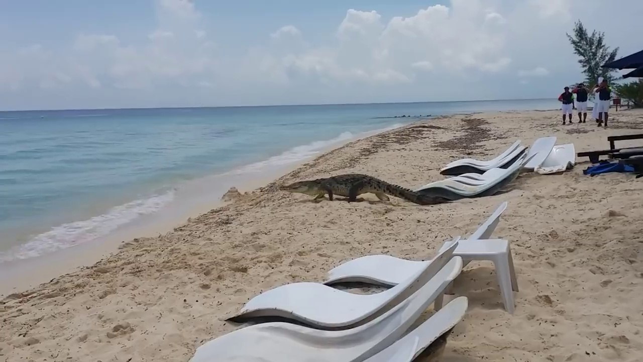 One day in Mexico beach
