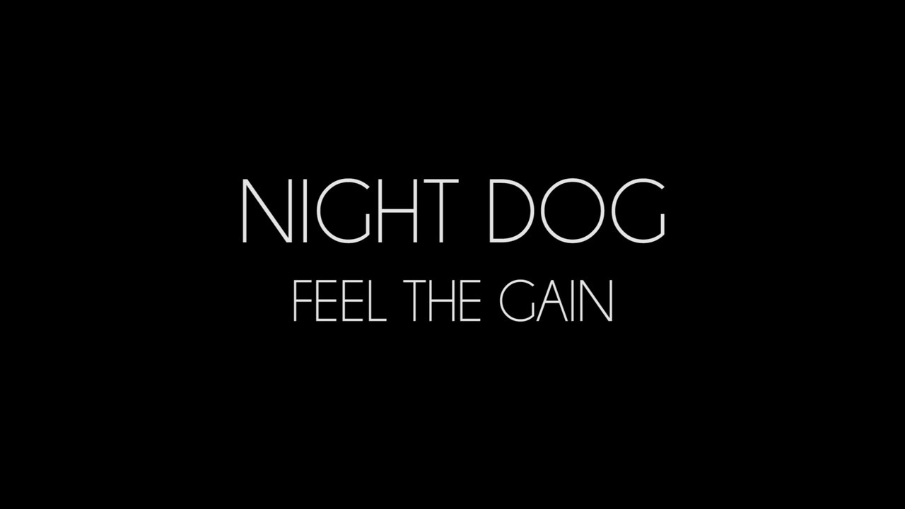 Night Dog: "Feel the gain" LIVE
