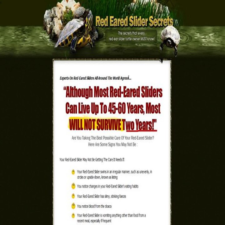 Red Eared Slider Secrets