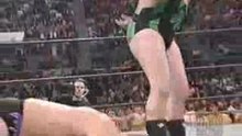 Dave "Fit" Finley vs. Dean Malenko