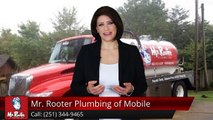 Mr. Rooter Plumbing of Mobile Mobile Excellent Five Star Review by Nancy P