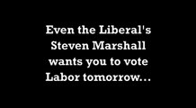 Steven Marshall agrees, vote Labor on March 15.
