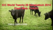 ICC World Twenty 20 Bangladesh 2014, Flash Mob  CVASU