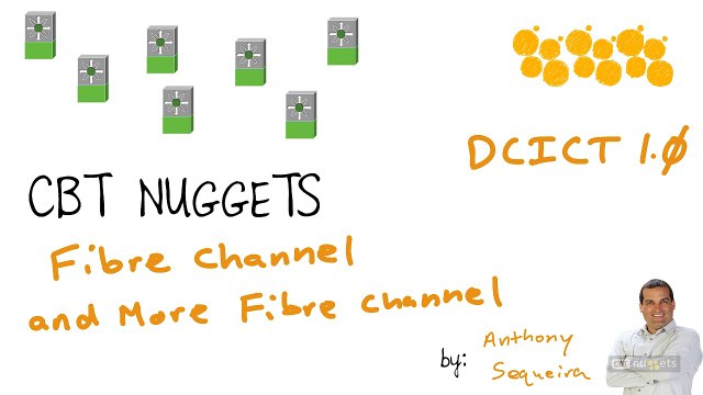 15 Fibre Channel and More Fibre Channel