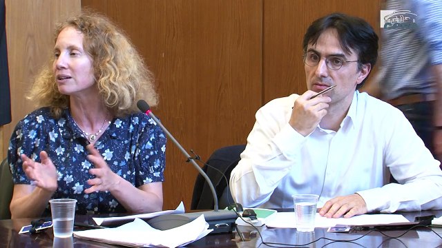 Audition de Alexis SPIRE (CNRS) et Katia WEIDENFELD (Historienne) - Evitement fiscal - cese