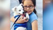 A 10-Year-Old is Teaching Her Deaf Puppy Sign Language