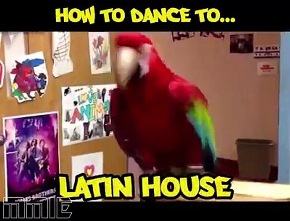 Dance Tutorial
