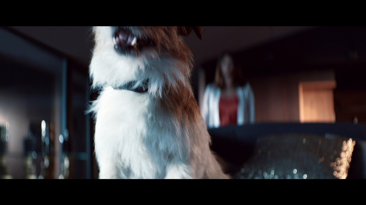 Bande-annonce du film Un petit boulot, avec Romain Duris et Michel Blanc.