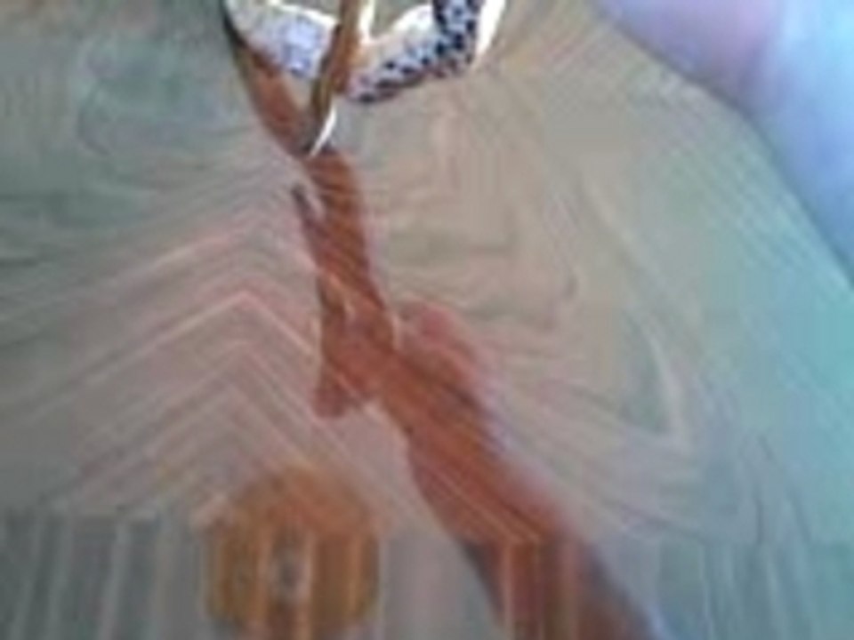 My Corn Snake Hewey 1