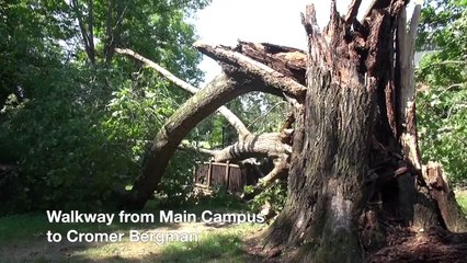 Severe Weather at Hollins -- June 29, 2012