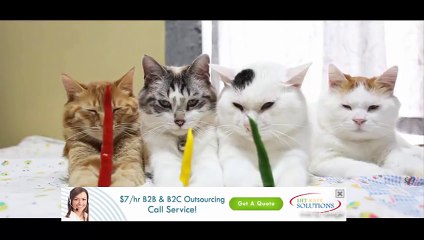 Don't laught when you see about them - funny video compilation 2016