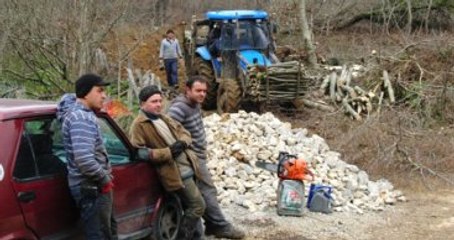 Zonguldak Enerji İletim Hattı İçin Ağaç Kesimine Bartınlılardan Tepki