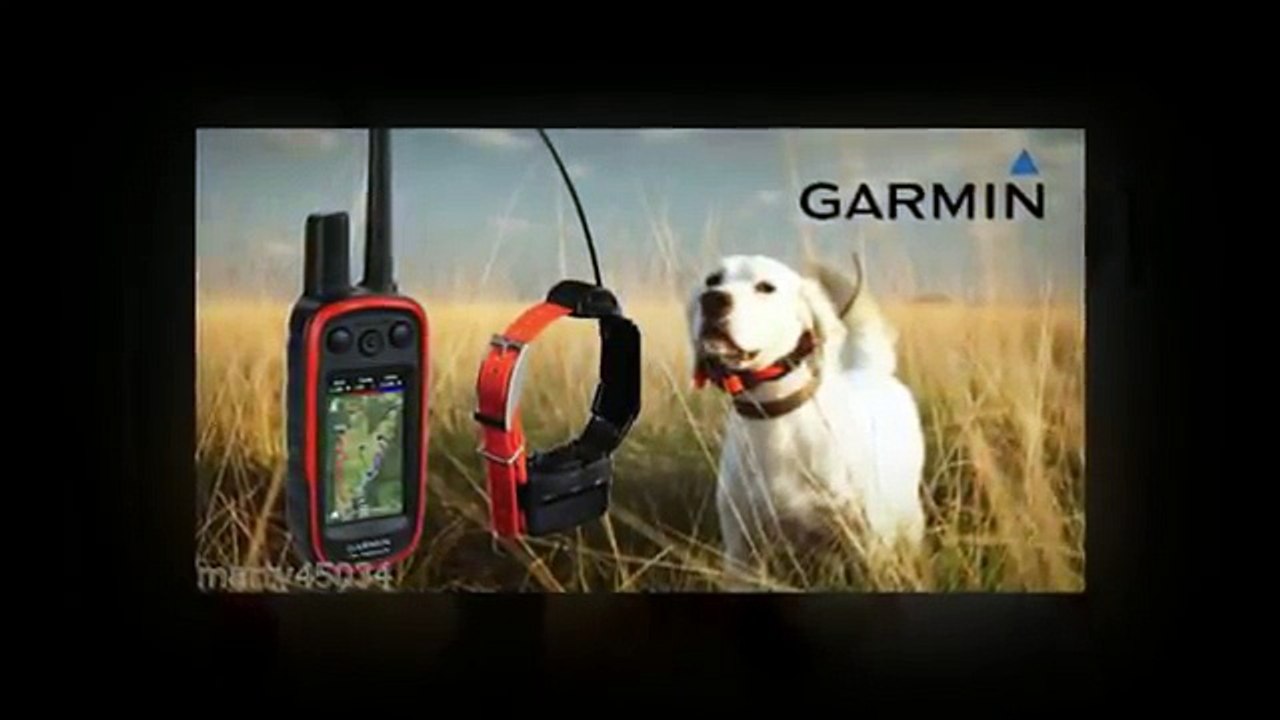 Garmin Dog Collars | GPS Technology| Pet Store Unlimited