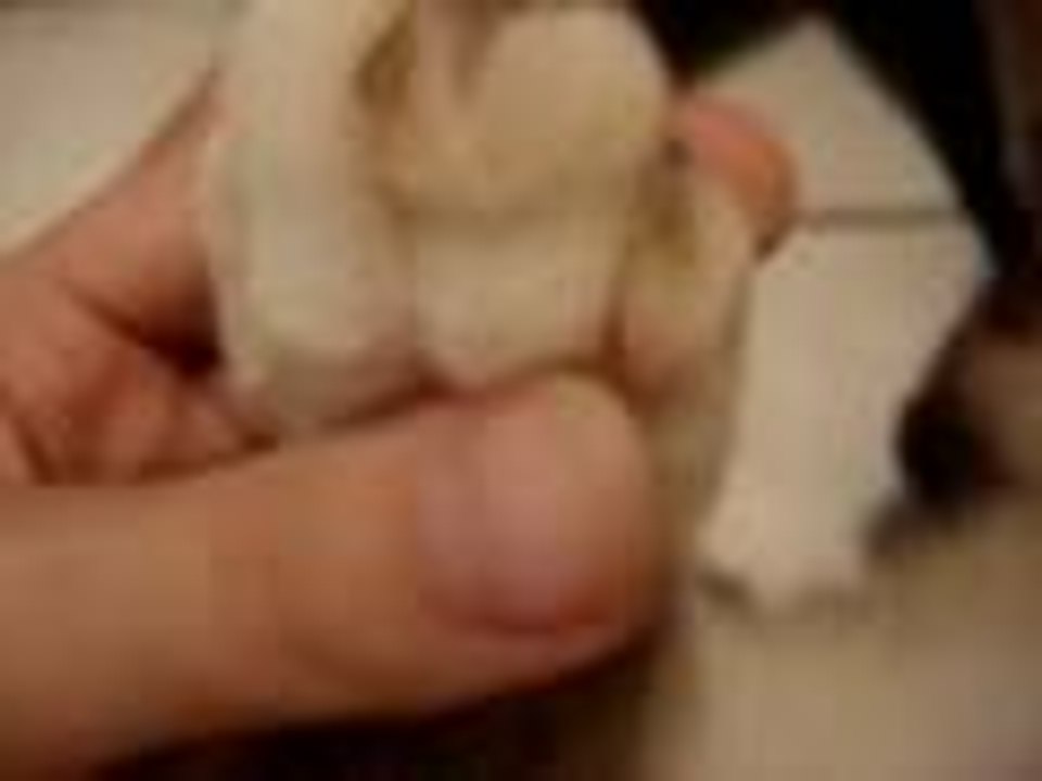 Ty lost his toenail T^T