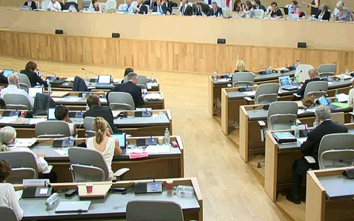 AP 7 juillet 2016 ● Intervention du V.-P. Martial SADDIER sur le vœu ECOPLA présenté par le groupe R.C.E.S.