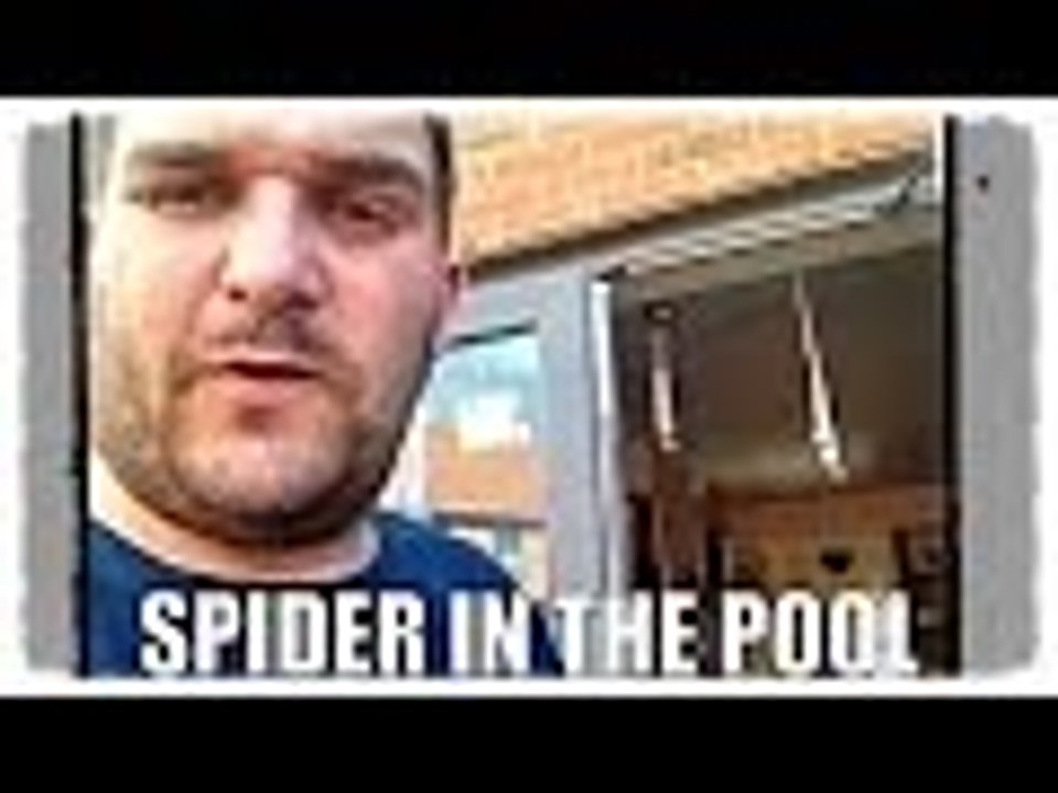 Spider in the pool | Supermadhouse83