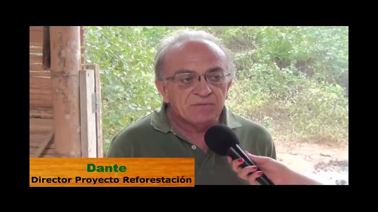 Palo Santo (Bursera Graveolens) Reforestation Program: a visionary project
