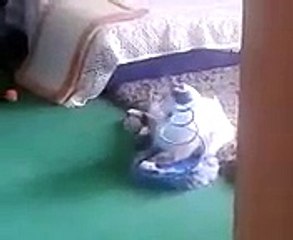 Maël qui joue avec ses jouets