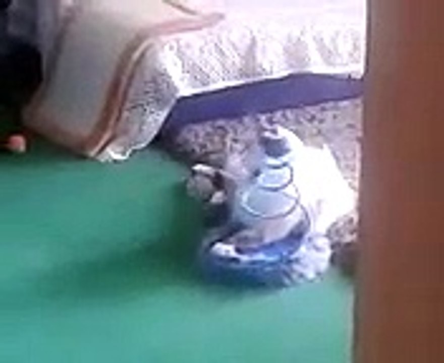 Maël qui joue avec ses jouets