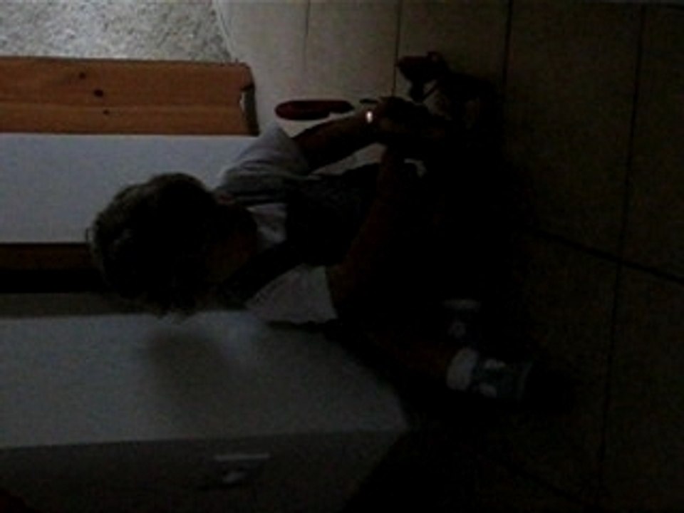 tit'loup joue avec son chien