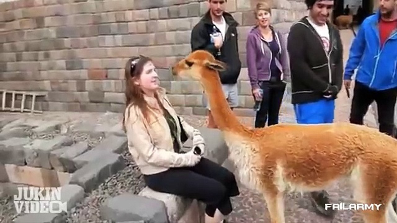 Fail Compilation of the FailArmy