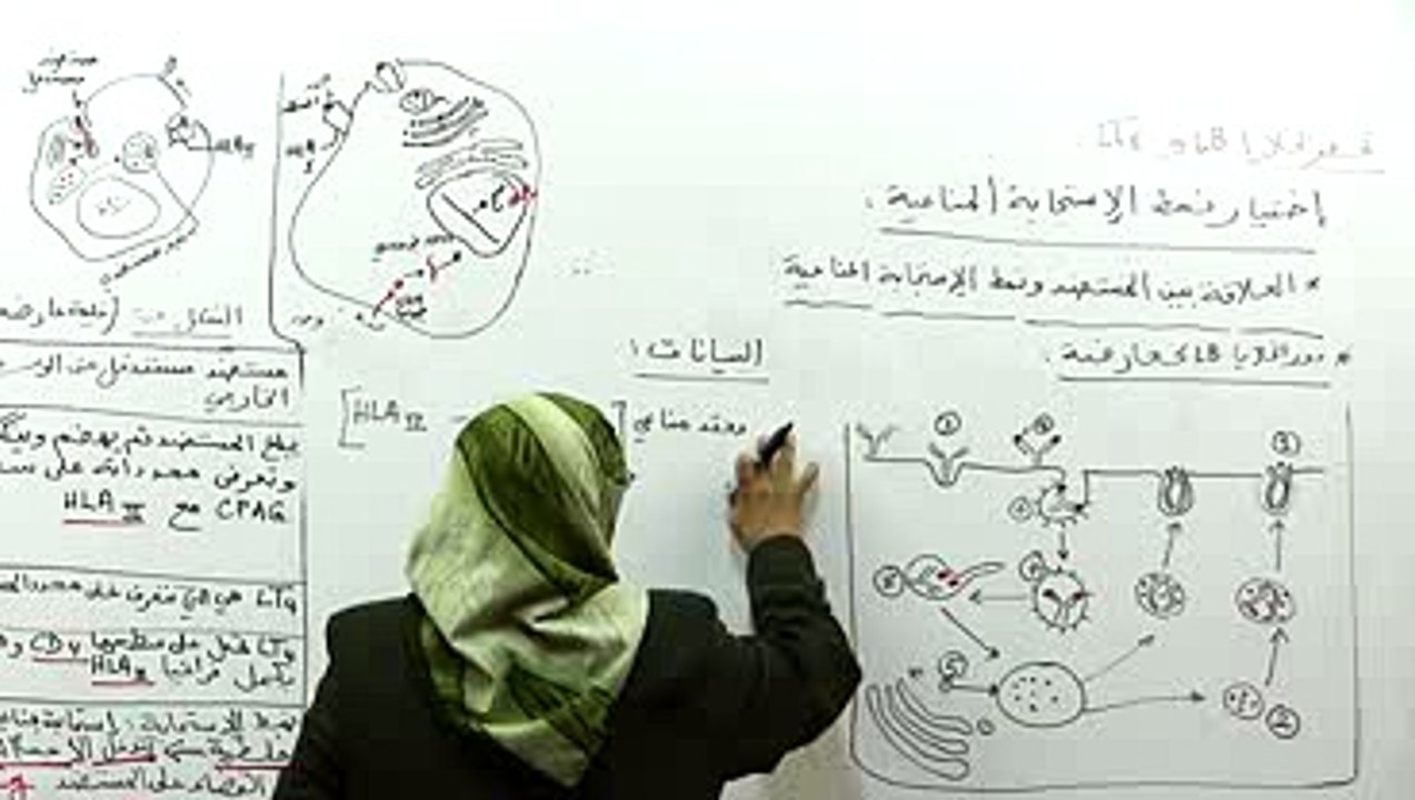 العلاقة بين نمط المستضد ونمط الاستجابة 3