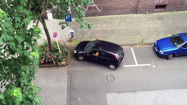 Une femme essaie de faire un créneau à Dortmund