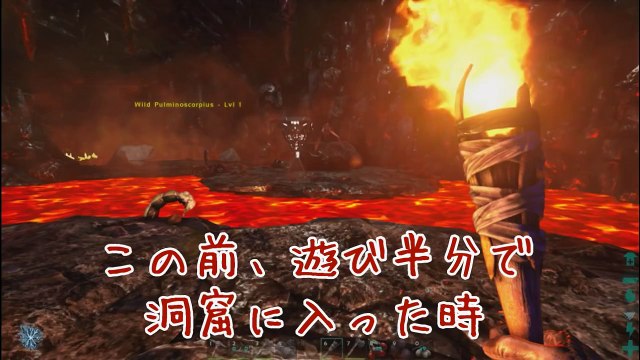 リアル過ぎるモンハンでシェンロン召喚！？ARK survival evolved実況プレイ