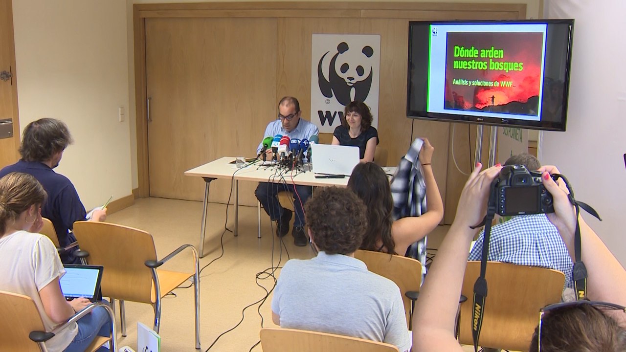 WWF pide identificar zonas vulnerables a incendios