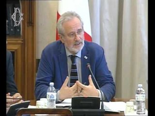 Roma - Modifiche ai decreti attuativi del Jobs Act, audizione esperti (06.07.16)