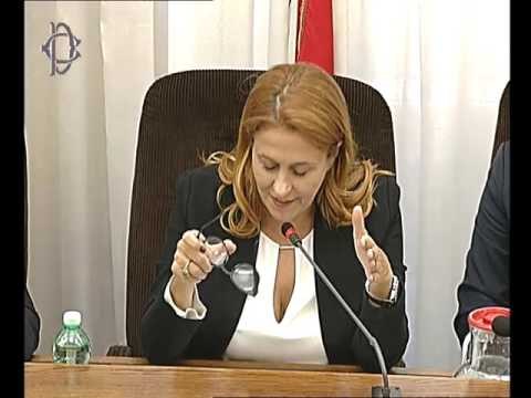 Roma - Audizione Maggioni e Cda Rai (06.07.16)