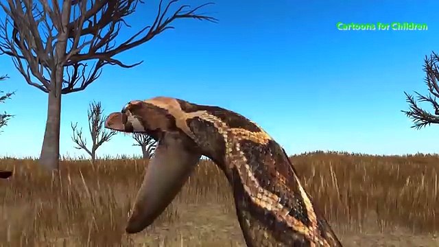 African Lion Vs Wild Python Snake Cartoon Animal Fights Videos for Children