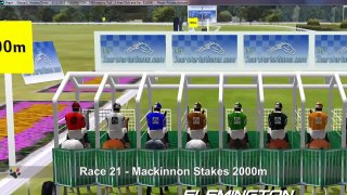 Race 22 - Victoria Derby 2500m