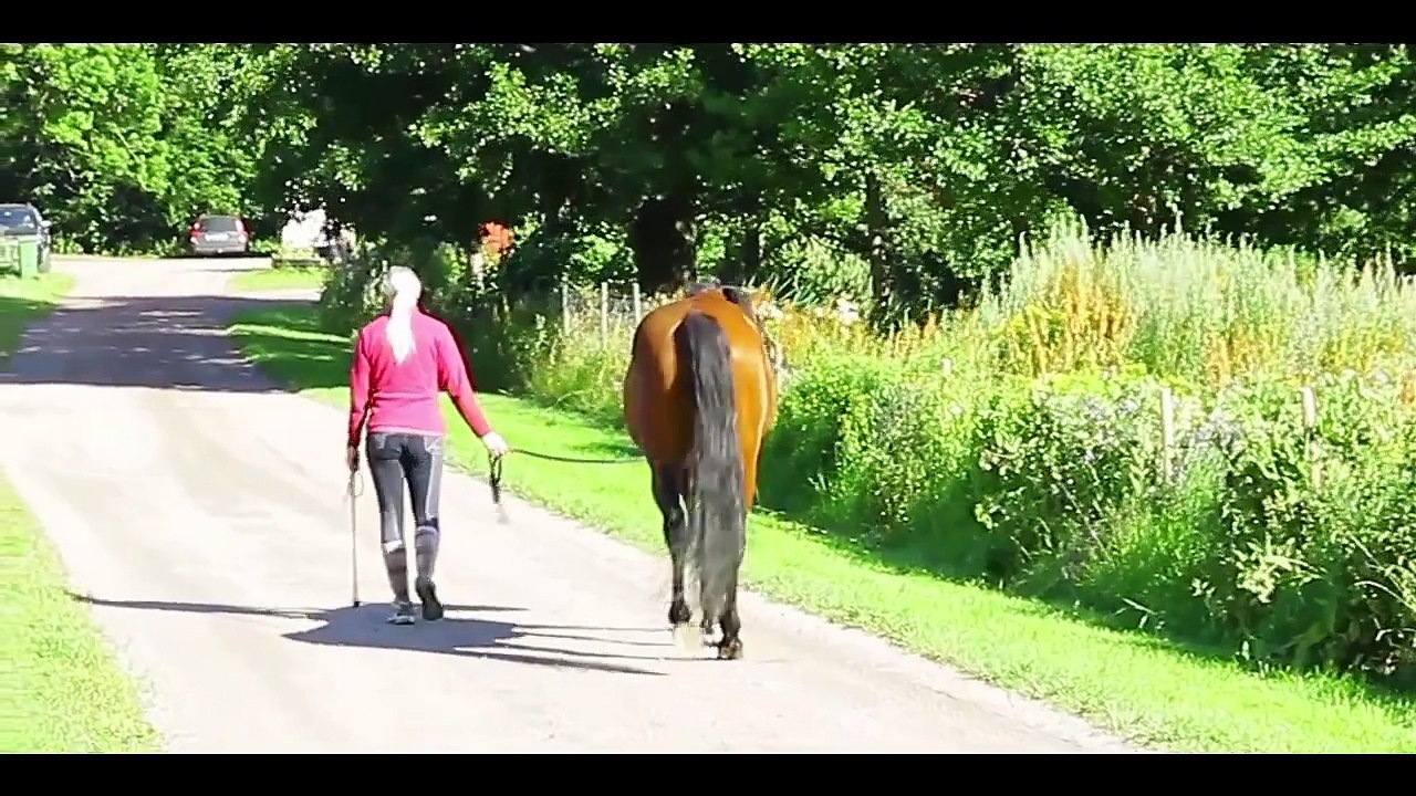 SHV Jocke 2015 07 24