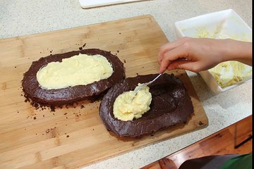 Madagascar Hissing Cockroach Cake