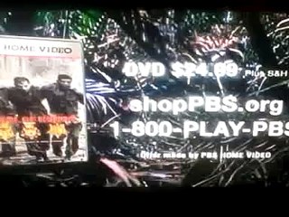 PBS Old Television logo (2008)