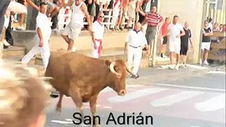 Vacas en San Adrian 25-7-10