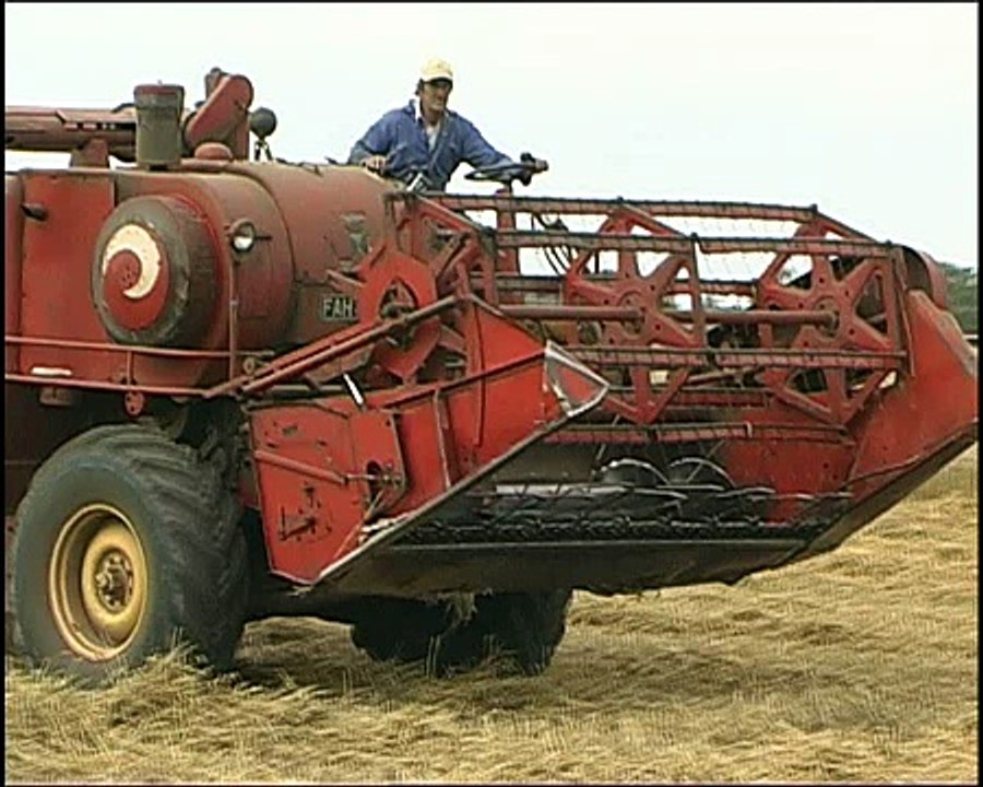 1965 Massey Ferguson 500 combine harvester, 22/08/2011.
