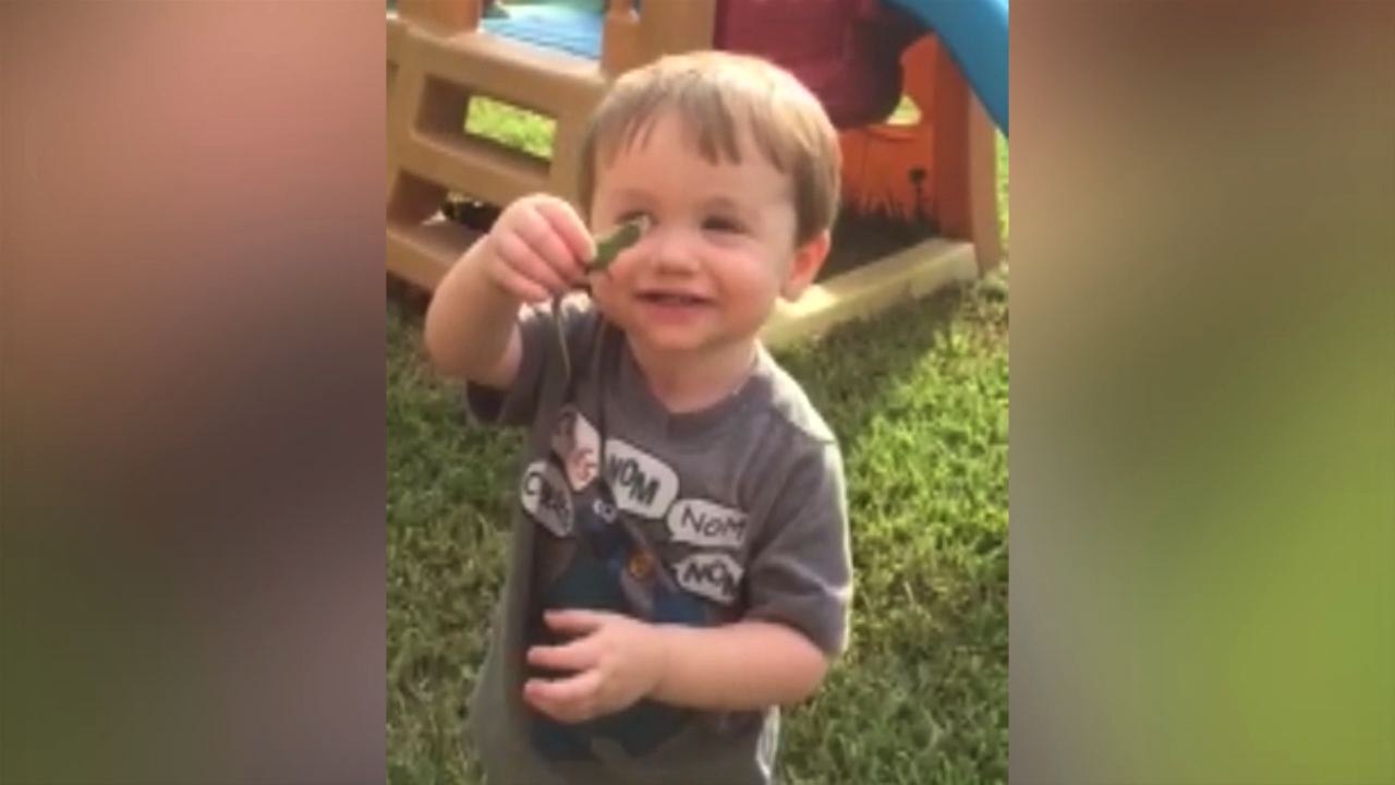 Adorable Kid Loves His Lizard Companion