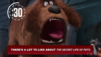 Rapid Reviews | The Secret Life of Pets